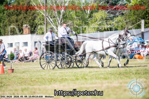 Mintakép 20260509-1092