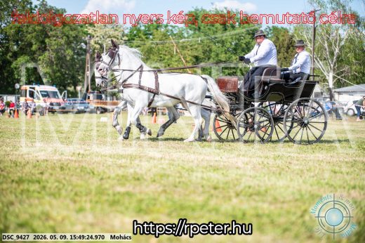 Mintakép 20260509-1093