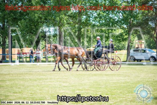 Mintakép 20260612-423