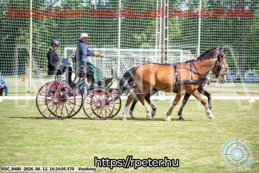 Mintakép 20260612-429
