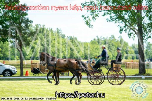 Mintakép 20260612-434