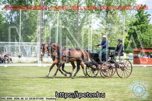 Mintakép 20260612-437