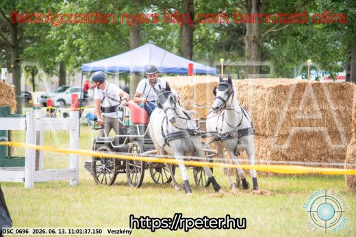 Mintakép 20260613-804