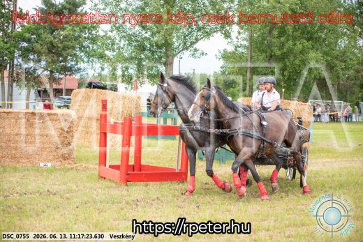 Mintakép 20260613-811