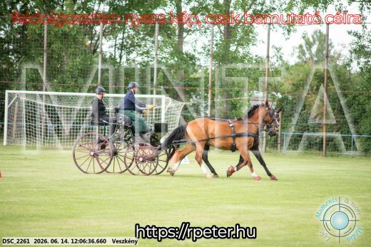 Mintakép 20260614-271