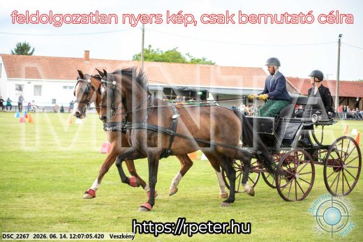 Mintakép 20260614-274