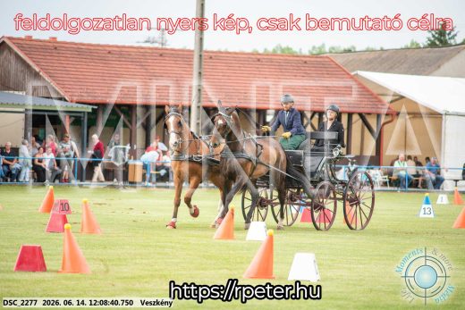 Mintakép 20260614-281