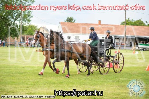 Mintakép 20260614-287