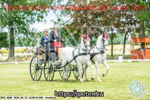 20260612-140923-DSC_4060.jpg