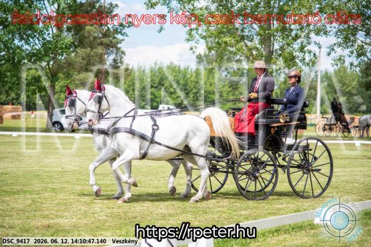 Mintakép 20260612-478