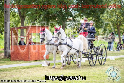 Mintakép 20260612-485