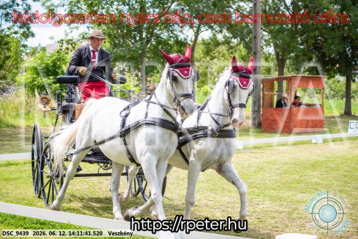 Mintakép 20260612-487