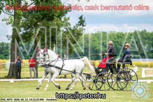 Mintakép 20260612-490