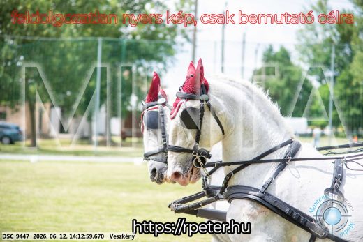 Mintakép 20260612-491