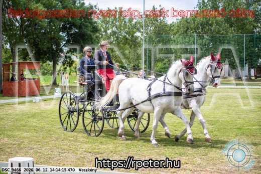 Mintakép 20260612-493