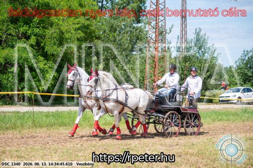 Mintakép 20260613-849