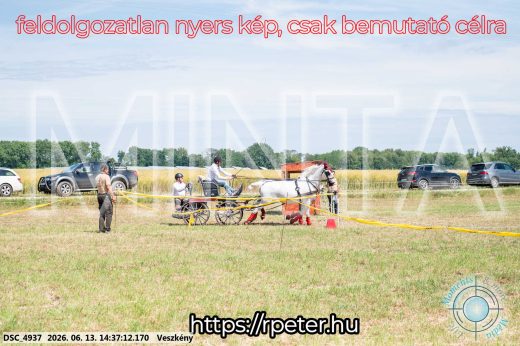 Mintakép 20260613-851
