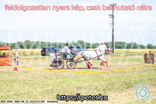 Mintakép 20260613-854