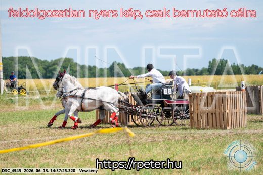 Mintakép 20260613-859