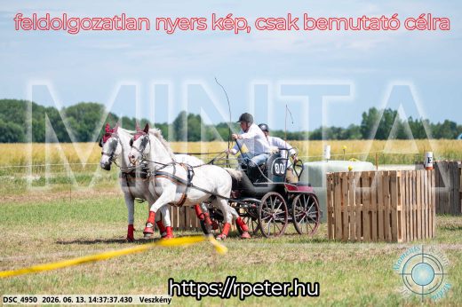 Mintakép 20260613-864