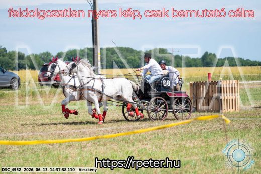 Mintakép 20260613-866