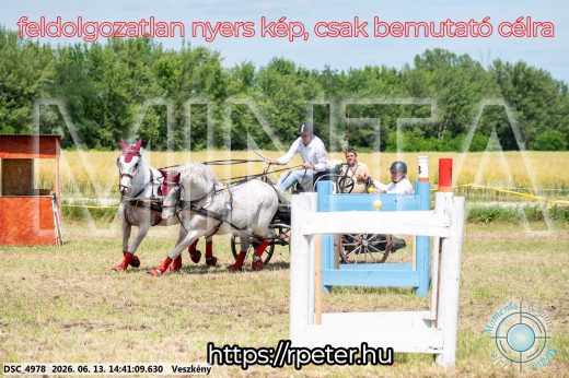 Mintakép 20260613-873