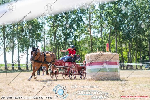 Mintakép 20260711-72