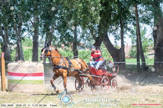 Mintakép 20260711-106