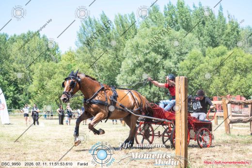 Mintakép 20260711-113