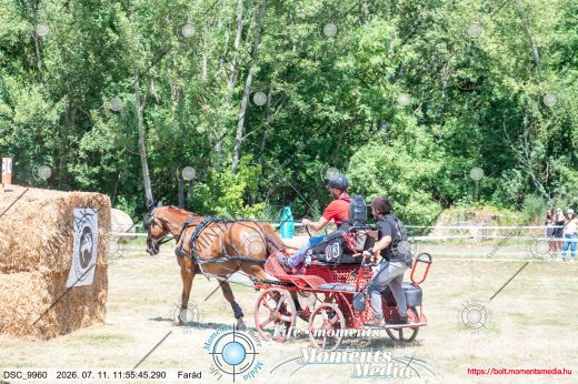 Mintakép 20260711-117
