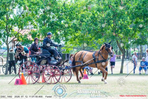 Mintakép 20260712-58