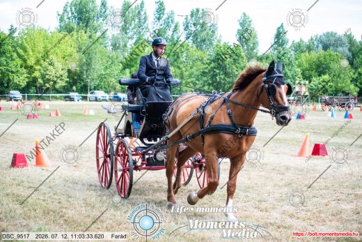 Mintakép 20260712-67