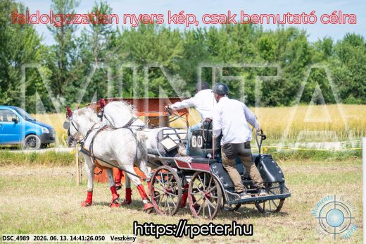 Mintakép 20260613-883