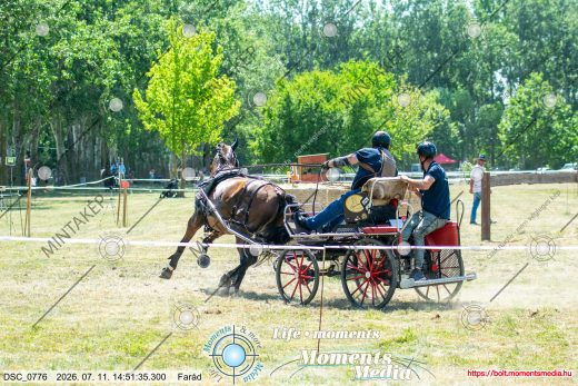 Mintakép 20260711-129