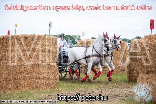 Mintakép 20260613-886