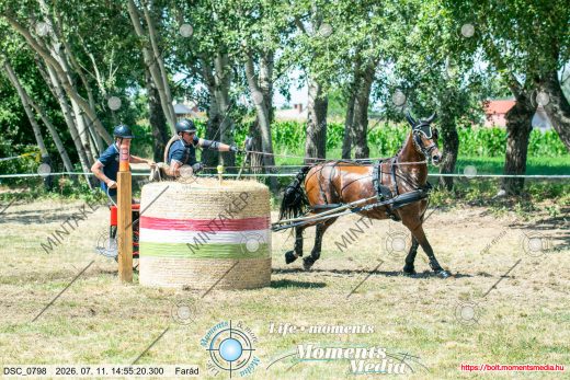 Mintakép 20260711-139