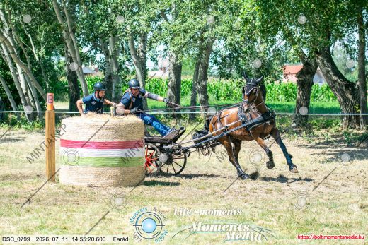 Mintakép 20260711-140