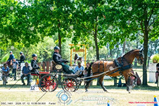 Mintakép 20260712-79