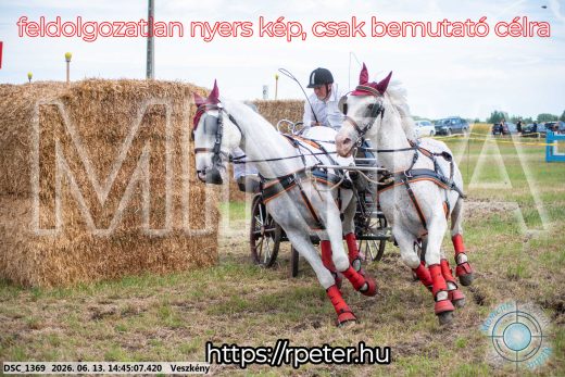 Mintakép 20260613-890
