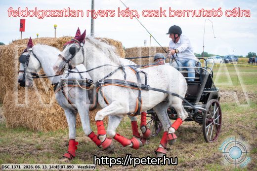Mintakép 20260613-892