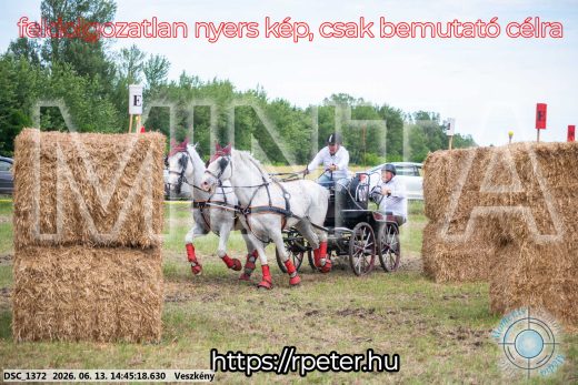 Mintakép 20260613-893