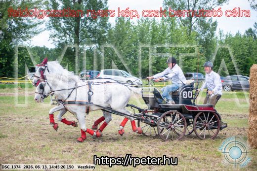 Mintakép 20260613-895