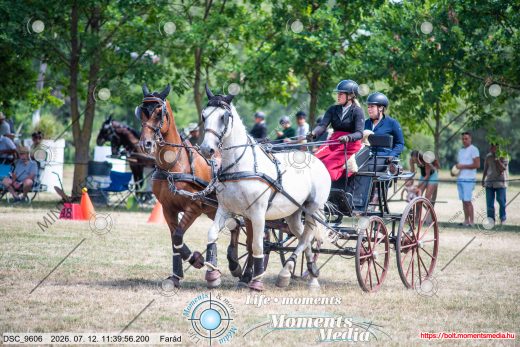 Mintakép 20260712-92