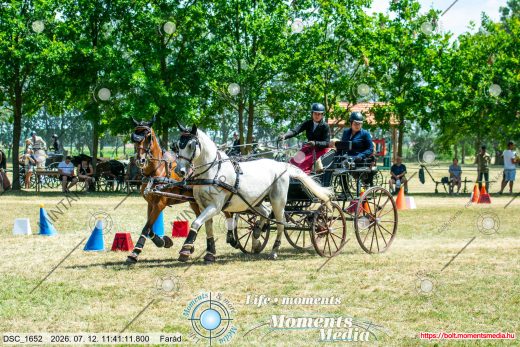 Mintakép 20260712-100