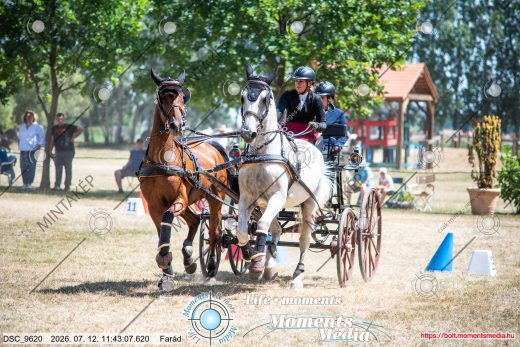 Mintakép 20260712-110