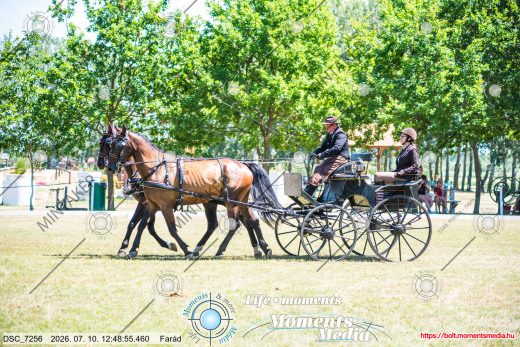 20260710-124855-DSC_7256.jpg