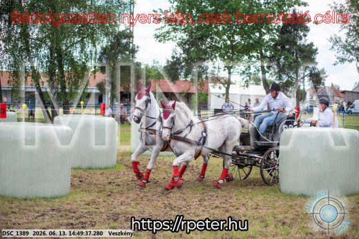 Mintakép 20260613-901