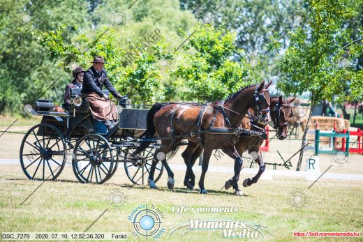 Mintakép 20260710-138