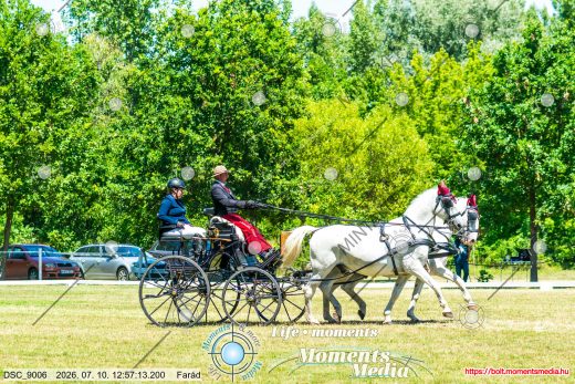 20260710-125713-DSC_9006.jpg