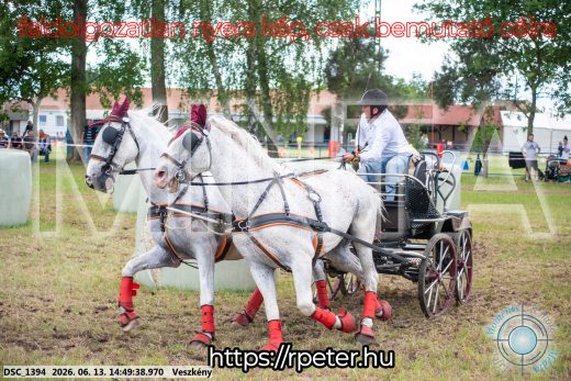Mintakép 20260613-906
